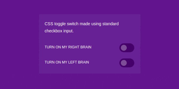Css toggle switch