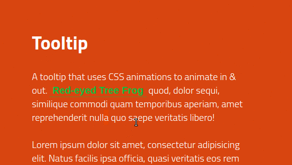 Tooltip with css animations